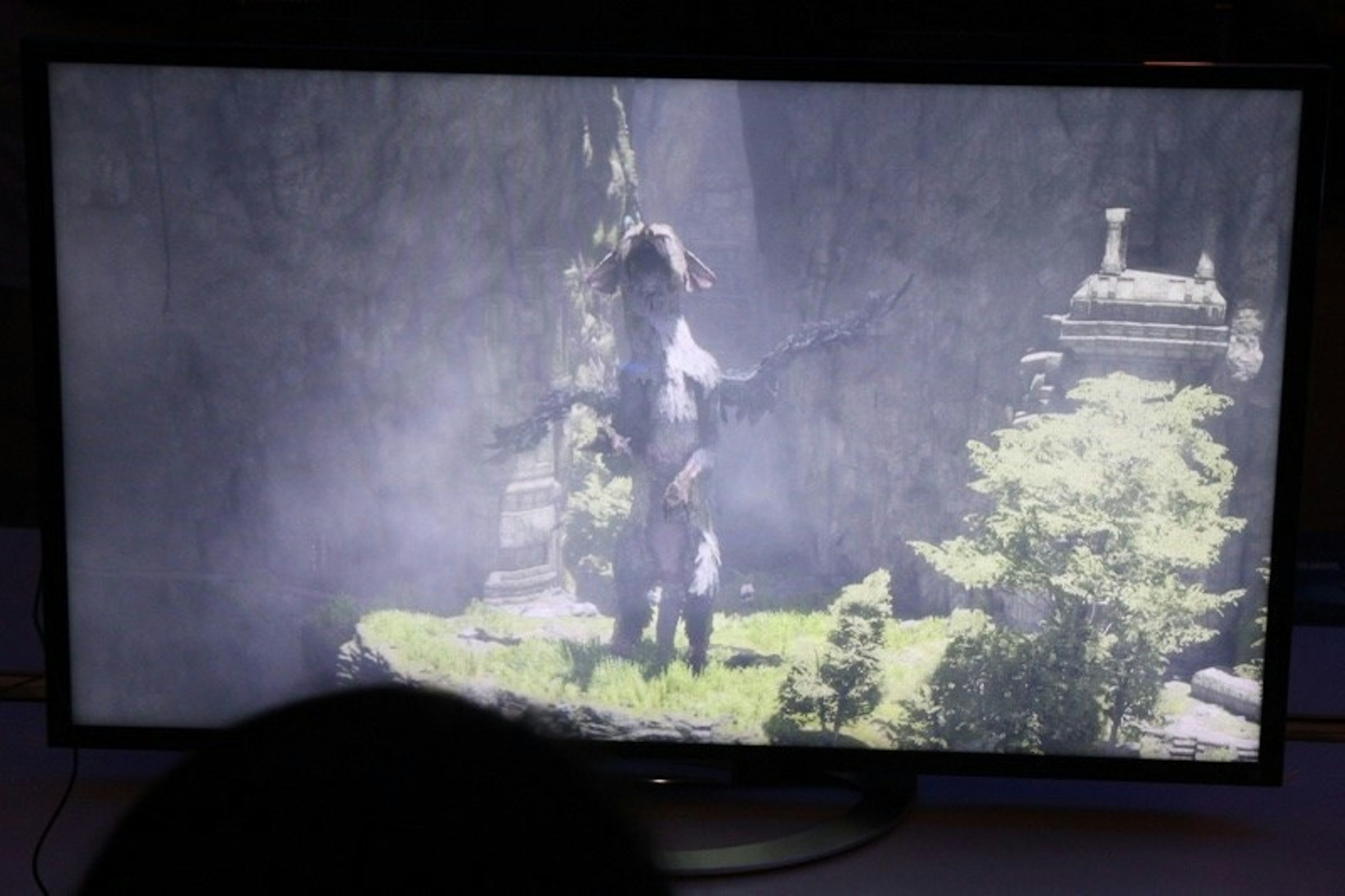 是《最後守護者》終於確認12月6日登上PlayStation 4這篇文章的首圖