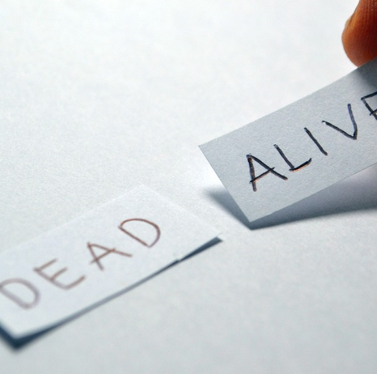 是廢死聯盟聲明稿回應:「莫背棄程序正義」的第2張圖