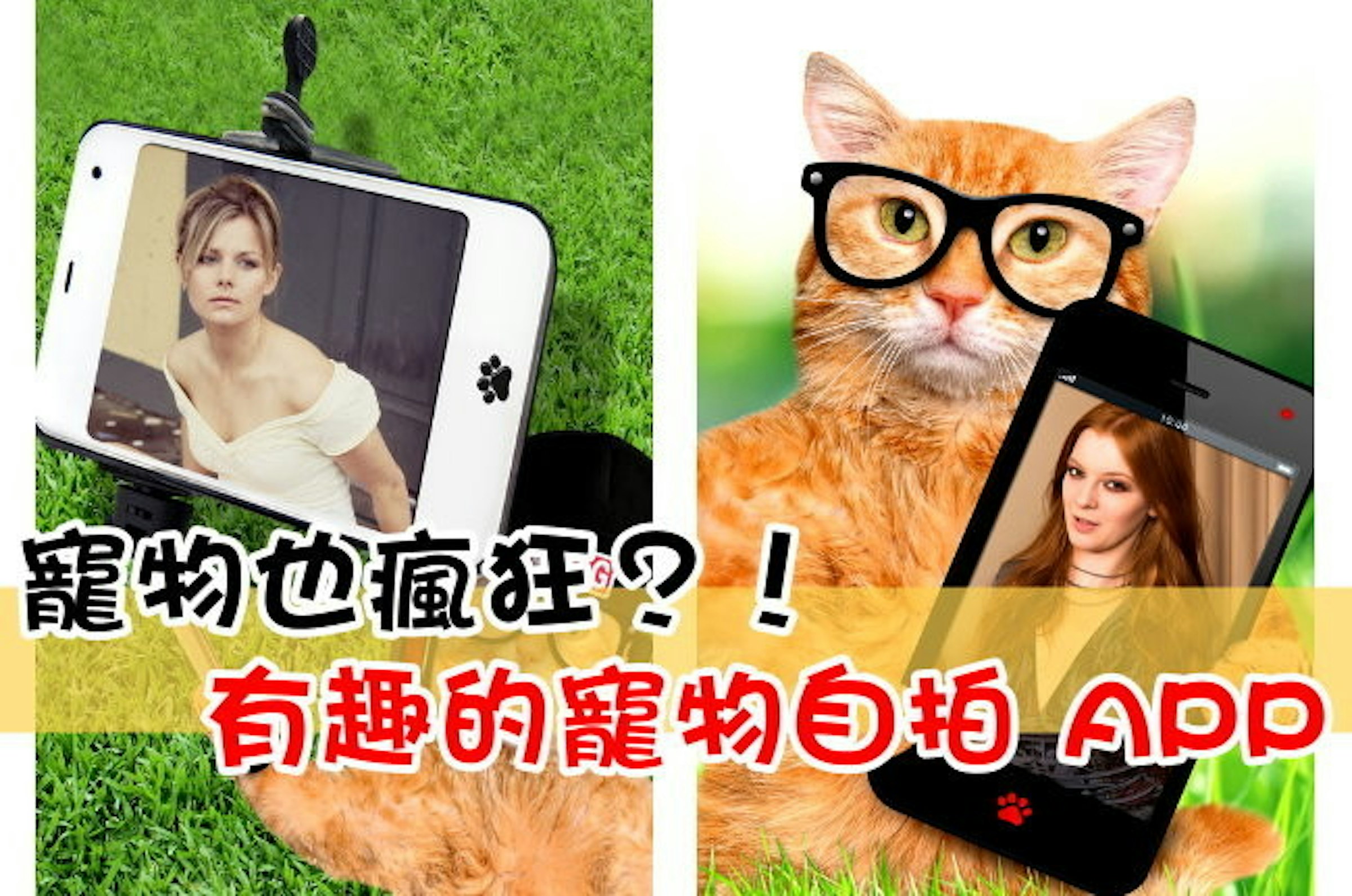 是寵物也瘋狂？！有趣的寵物自拍 APP (Android)這篇文章的首圖