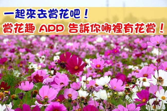 首圖