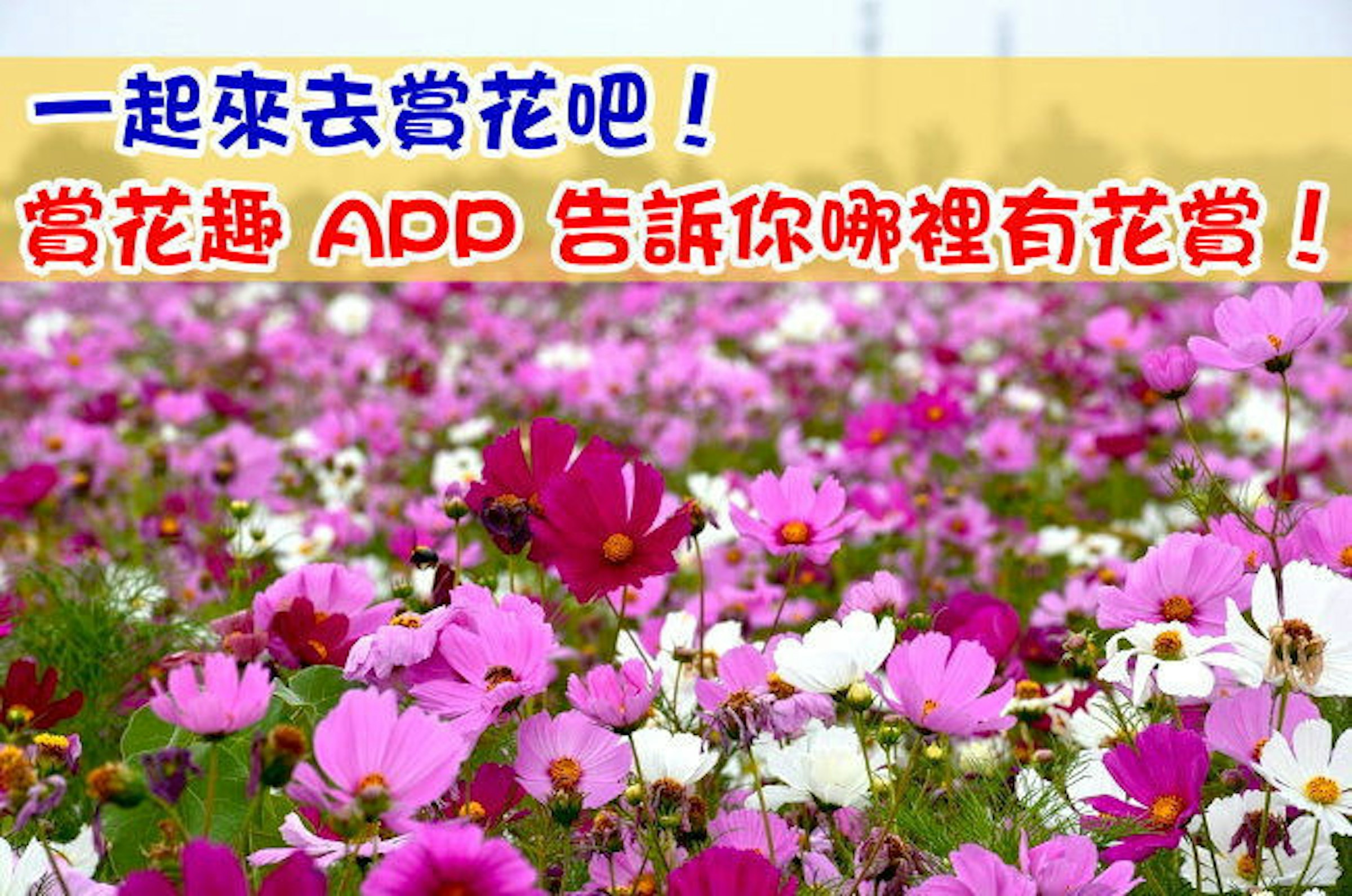 是一起來去賞花吧！賞花趣 APP 告訴你哪裡有花賞！(Android)這篇文章的首圖