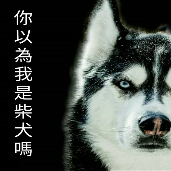 首圖