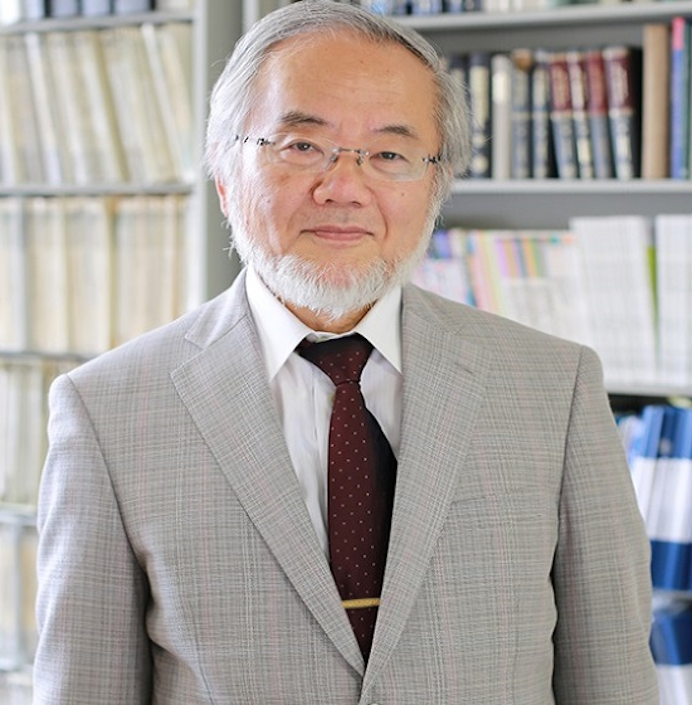 是大隅良典鼓勵年輕人：勇於挑戰很重要！這篇文章的首圖