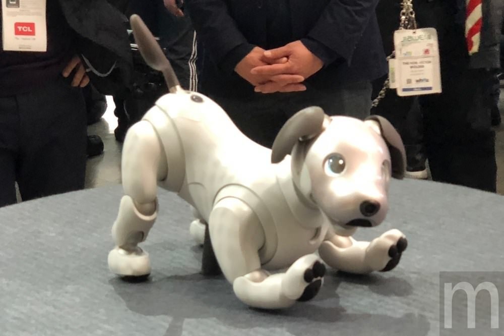 首圖