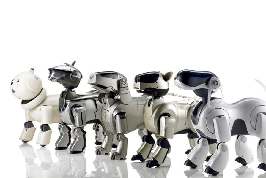是進軍機器人市場 Sony可能明年春季重啟機器狗Aibo發展計畫這篇文章的首圖