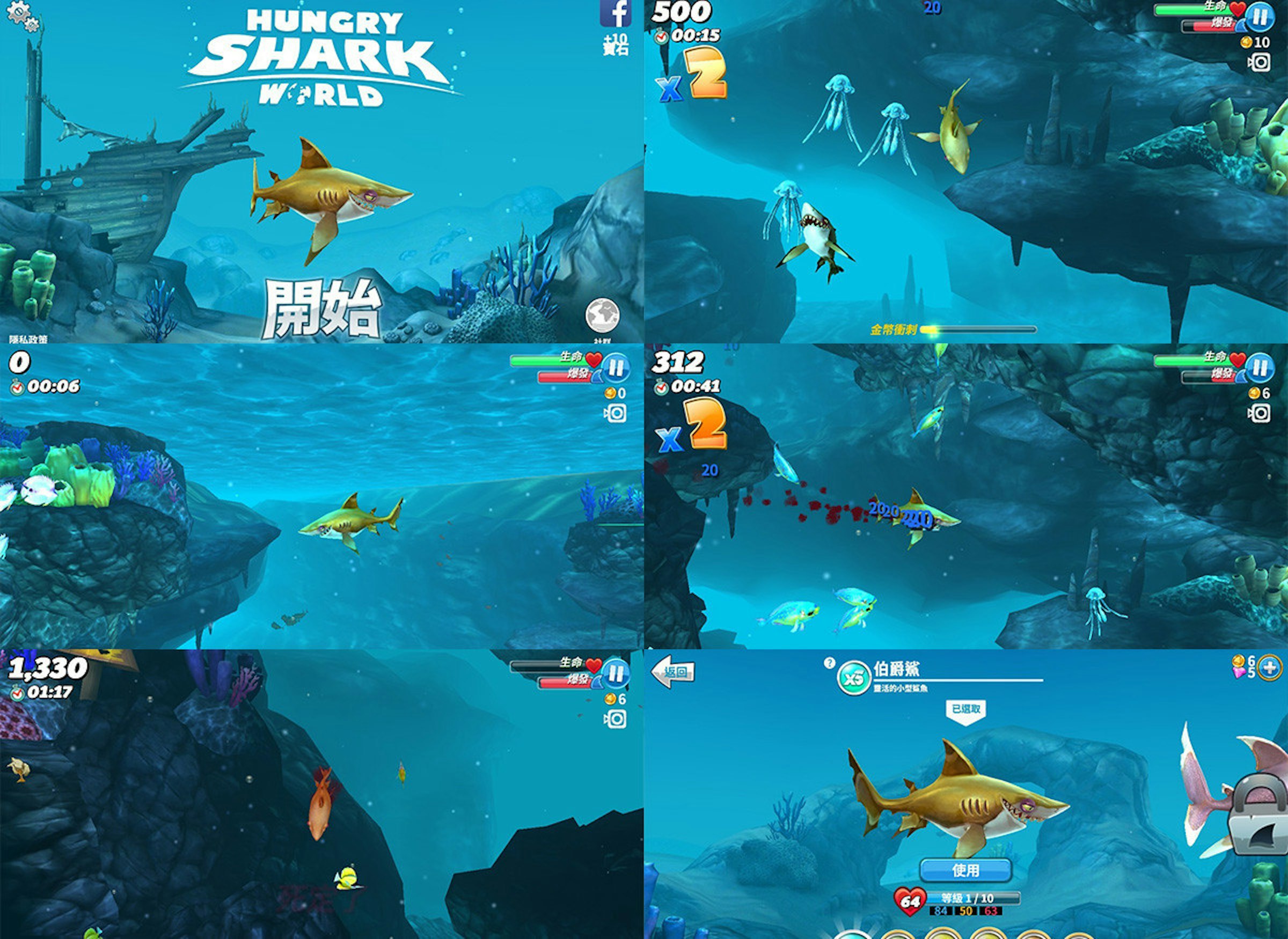 是《Hungry Shark》遇見白鯊不要緊，但你可知如何當個好鯊魚。這篇文章的首圖