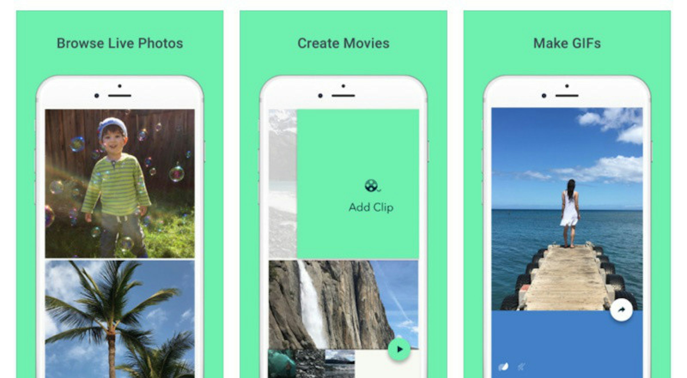 是Google新iOS App 讓動態照片更容易分享這篇文章的首圖