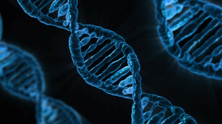 是DNA的數字化，背後風險有多大？這篇文章的首圖