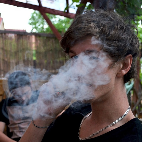 是不只選總統,加州也通過大麻「休閒用」的第2張圖