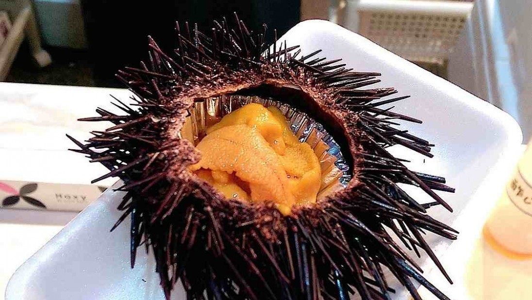 首圖