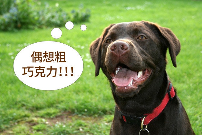 首圖