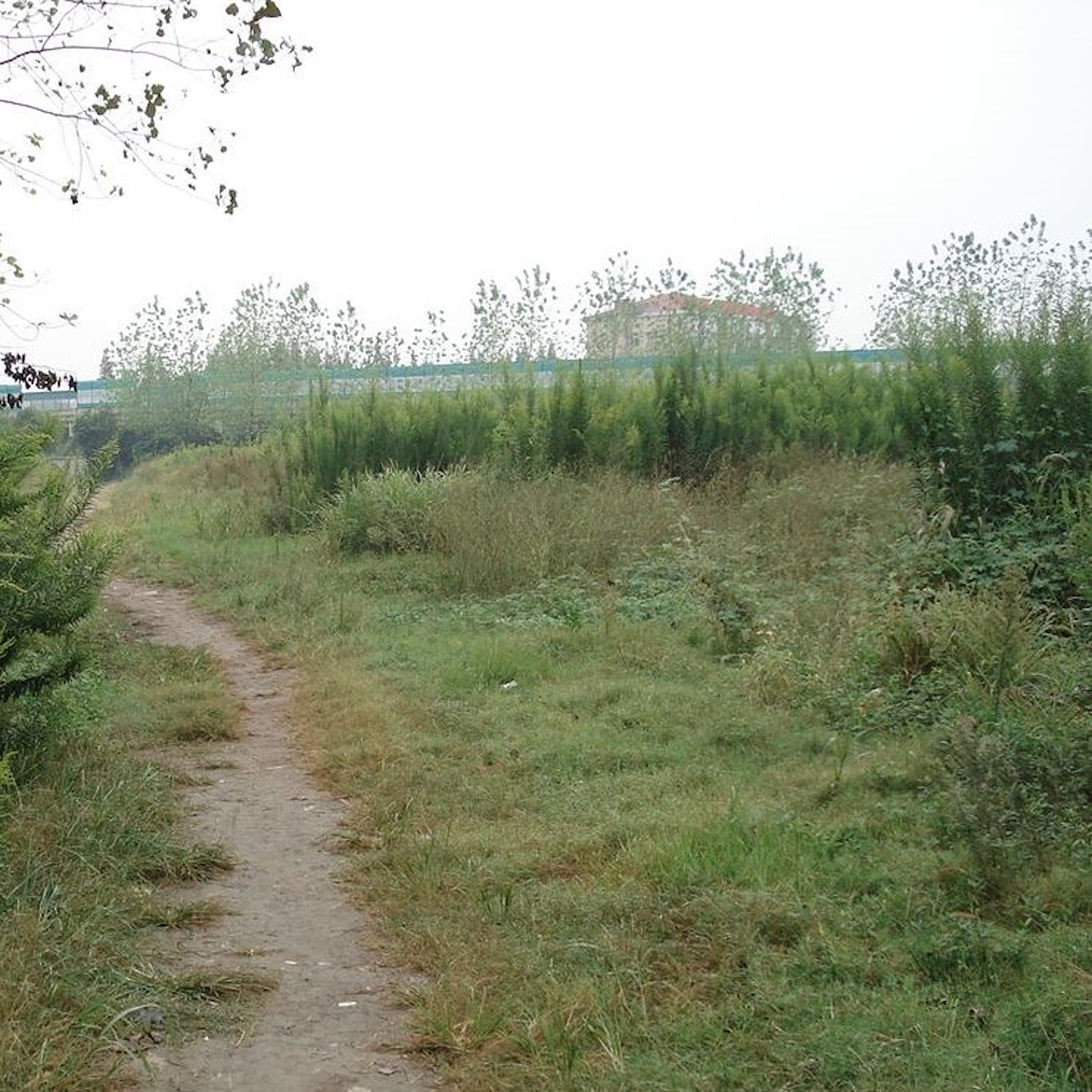 是囤「地」居奇！為解決「工業缺地」宜蘭首創徵收5倍空地稅這篇文章的首圖