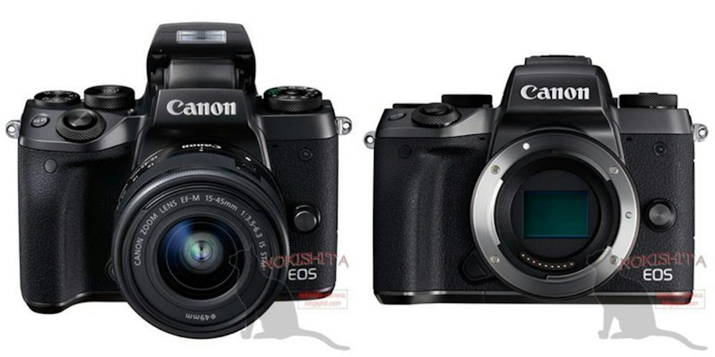 是Canon EOS M5曝光 外型明顯改變、加入雙像素對焦這篇文章的首圖