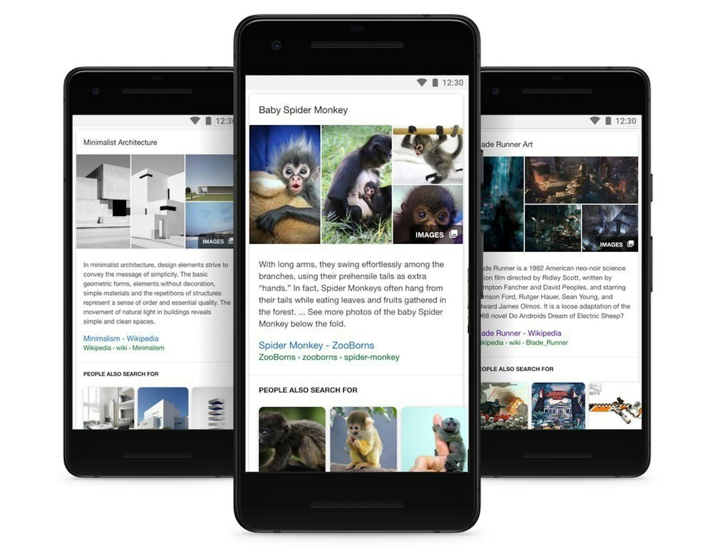 是Google Search以視覺化方式讓使用者更容易找到所需解答這篇文章的首圖