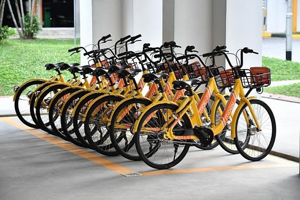 照片中包含了moov自行車分享、自行車共享系統、自行車、奧菲、自行車出租