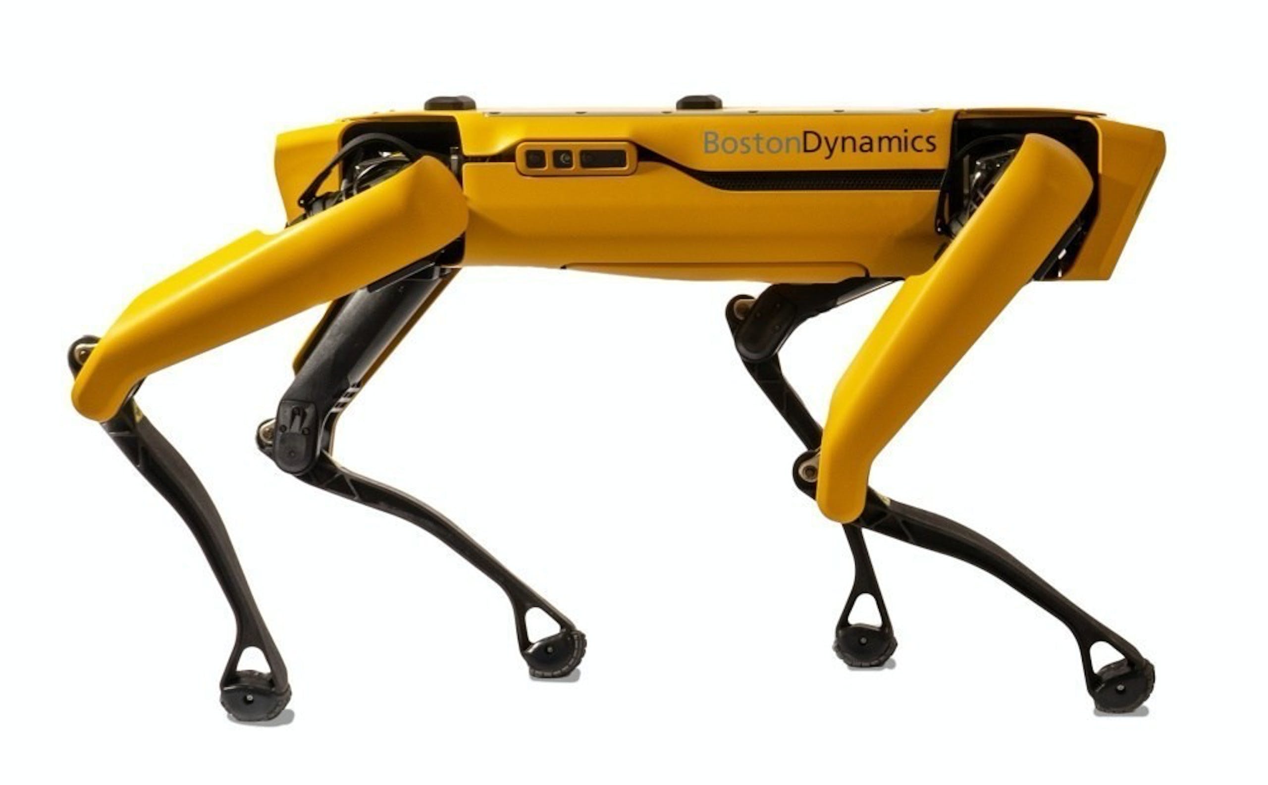 照片中提到了रहू、BostonDynamics，包含了波士頓現貨動力學、SpotMini、波士頓動力、機器人、大隻的狗