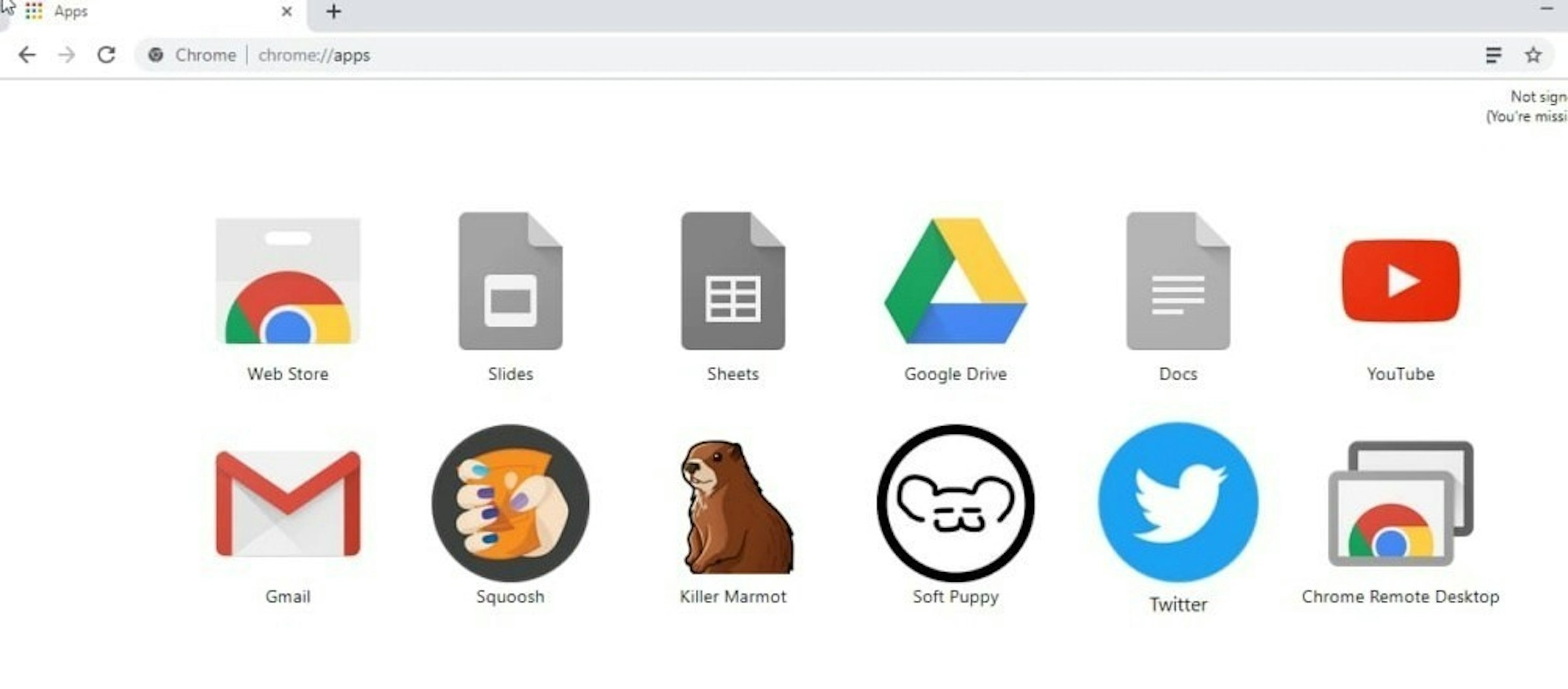 照片中提到了* E Apps、O Chrome chrome://apps、Not sign，跟的YouTube、美國甲狀腺協會有關，包含了谷歌套件、Google Workspace、谷歌、谷歌瀏覽器、Google雲端硬碟