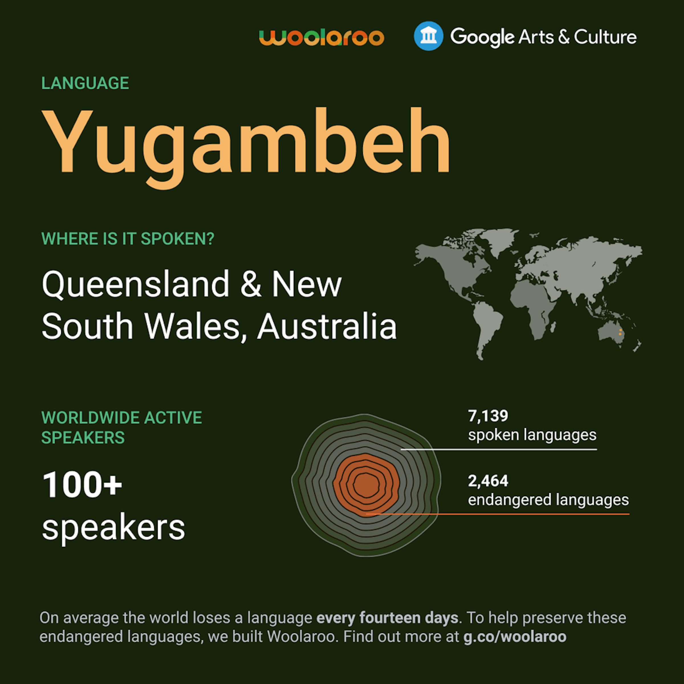 照片中提到了woolaroo、I Google Arts & Culture、LANGUAGE，包含了產品、牌、生物、字形、儀表