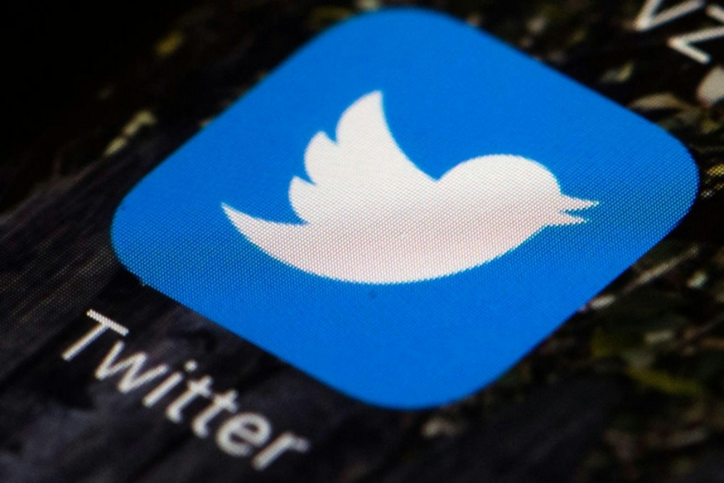 照片中提到了Twitter，包含了麝香、特斯拉公司、常務董事、股東權益計劃、董事會