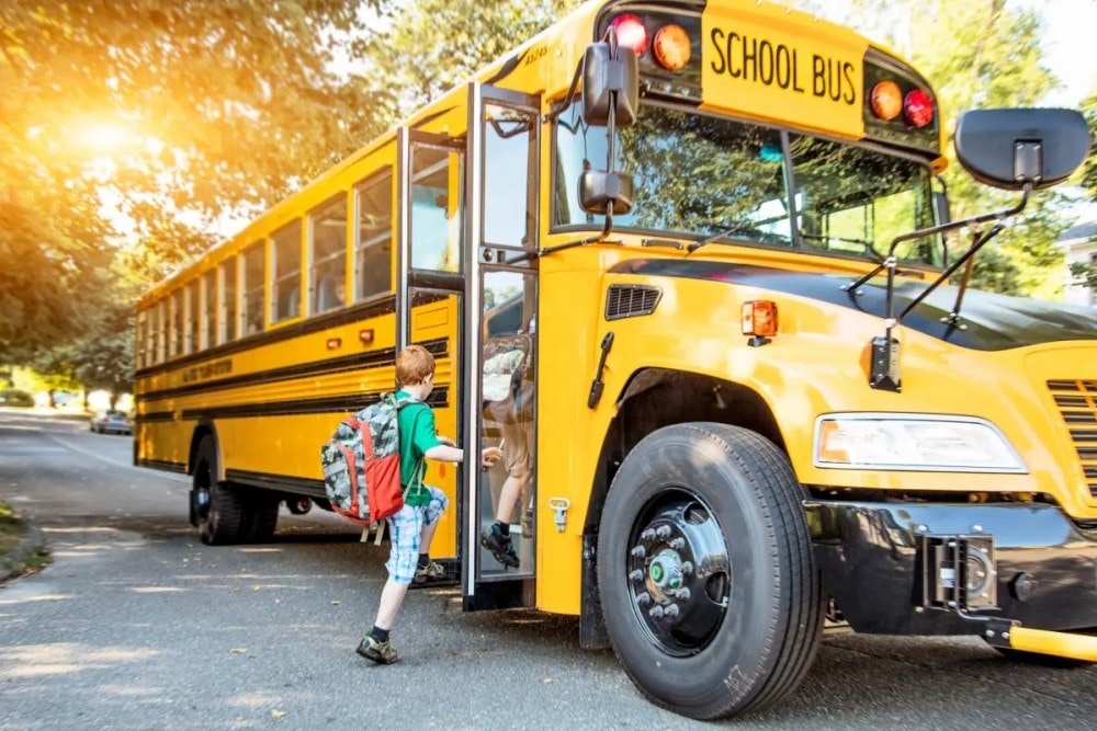 照片中提到了SCHOOL BUS、101，包含了校車庫存、總線、校車、學校、運輸