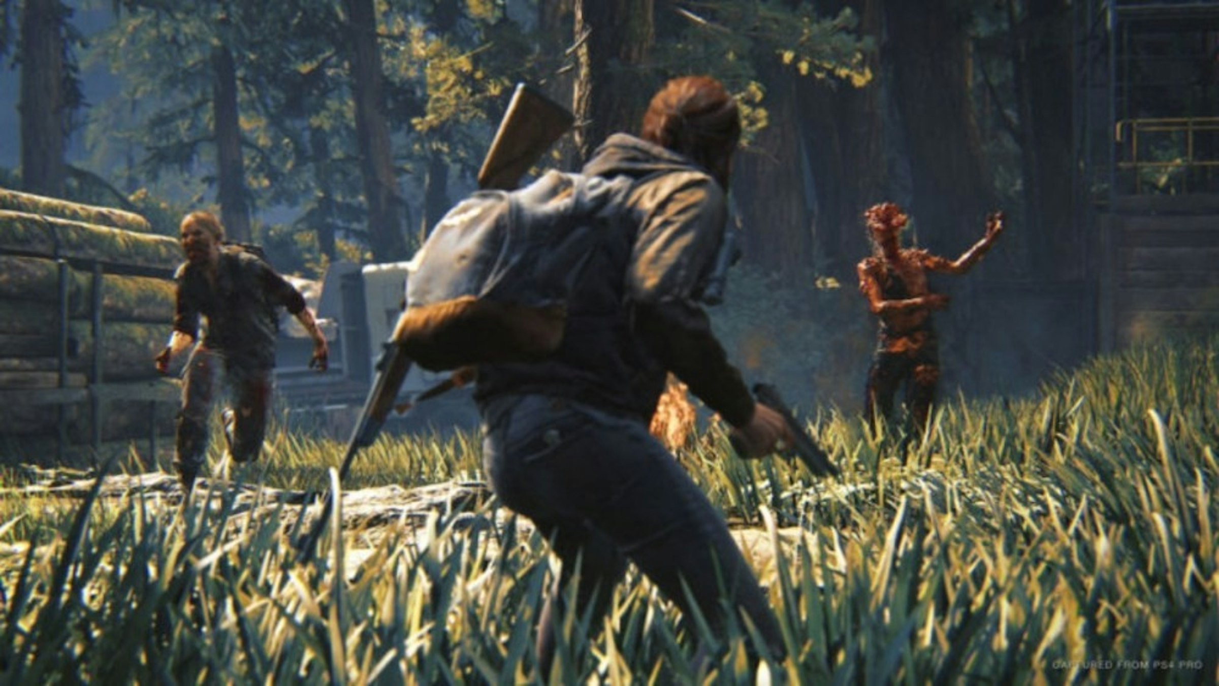 照片中提到了dARED FROM PS4 PRO，包含了我們最後一部分2、我們的最後一部分第二部分、我們的最後、最後生還者第一部分、接地