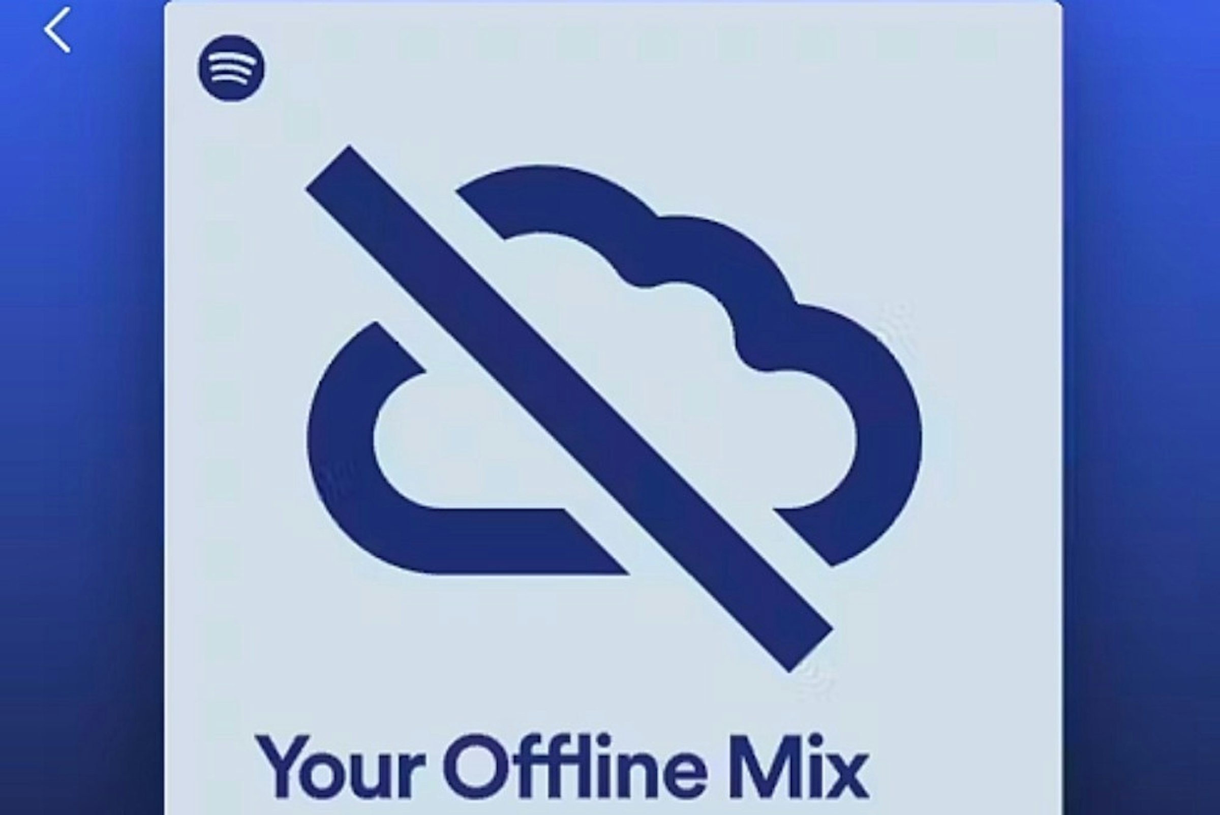 照片中提到了Your Offline Mix，跟米德爾塞克斯郡板球俱樂部、定價合作夥伴 Cie有關，包含了標誌、印度、美國、網飛、的YouTube