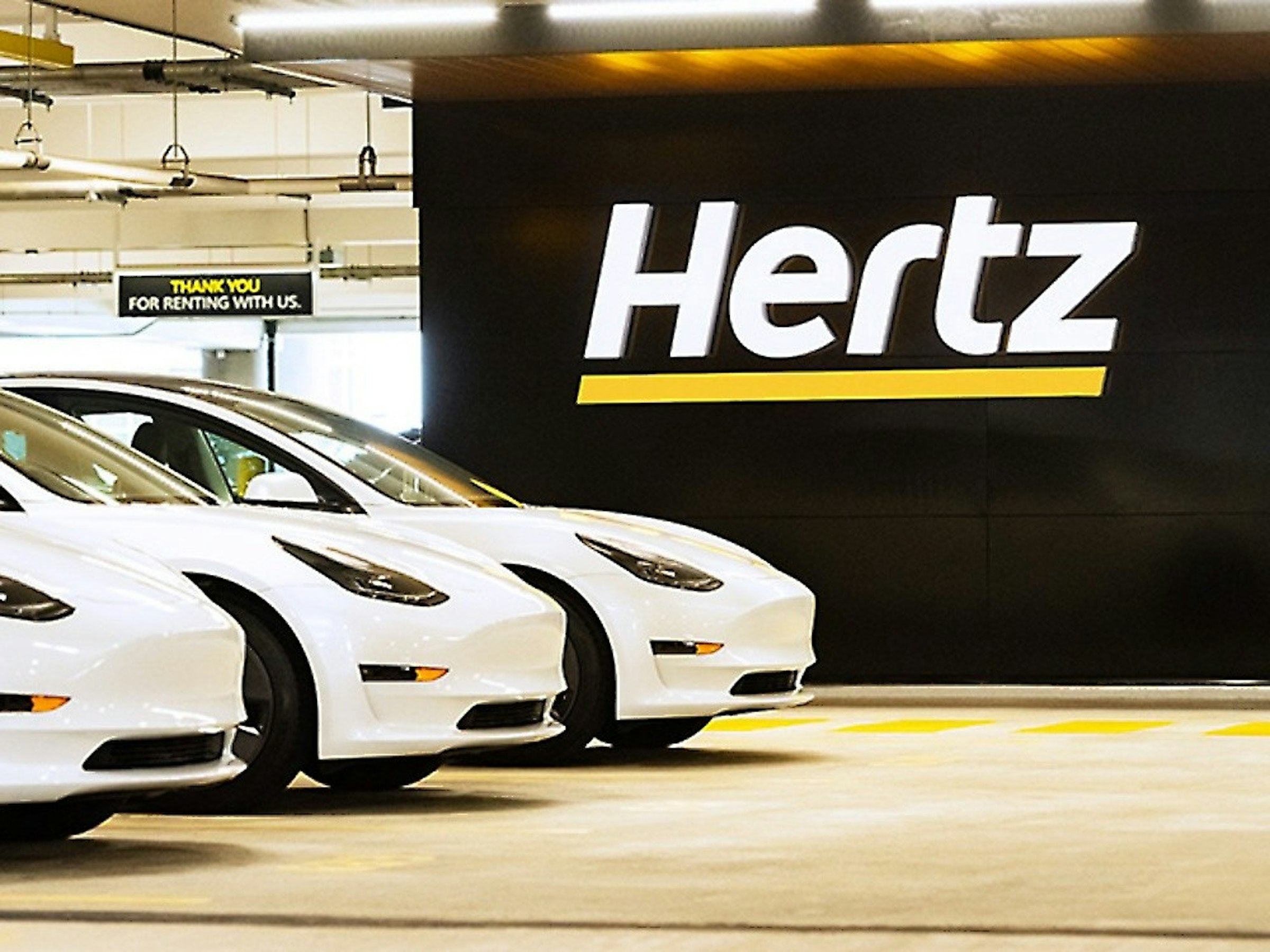 照片中提到了THANK YOU、FOR RENTING WITH US.、Hertz，跟赫茲公司有關，包含了赫茲和特斯拉、特斯拉Model 3、特斯拉公司、汽車、特斯拉