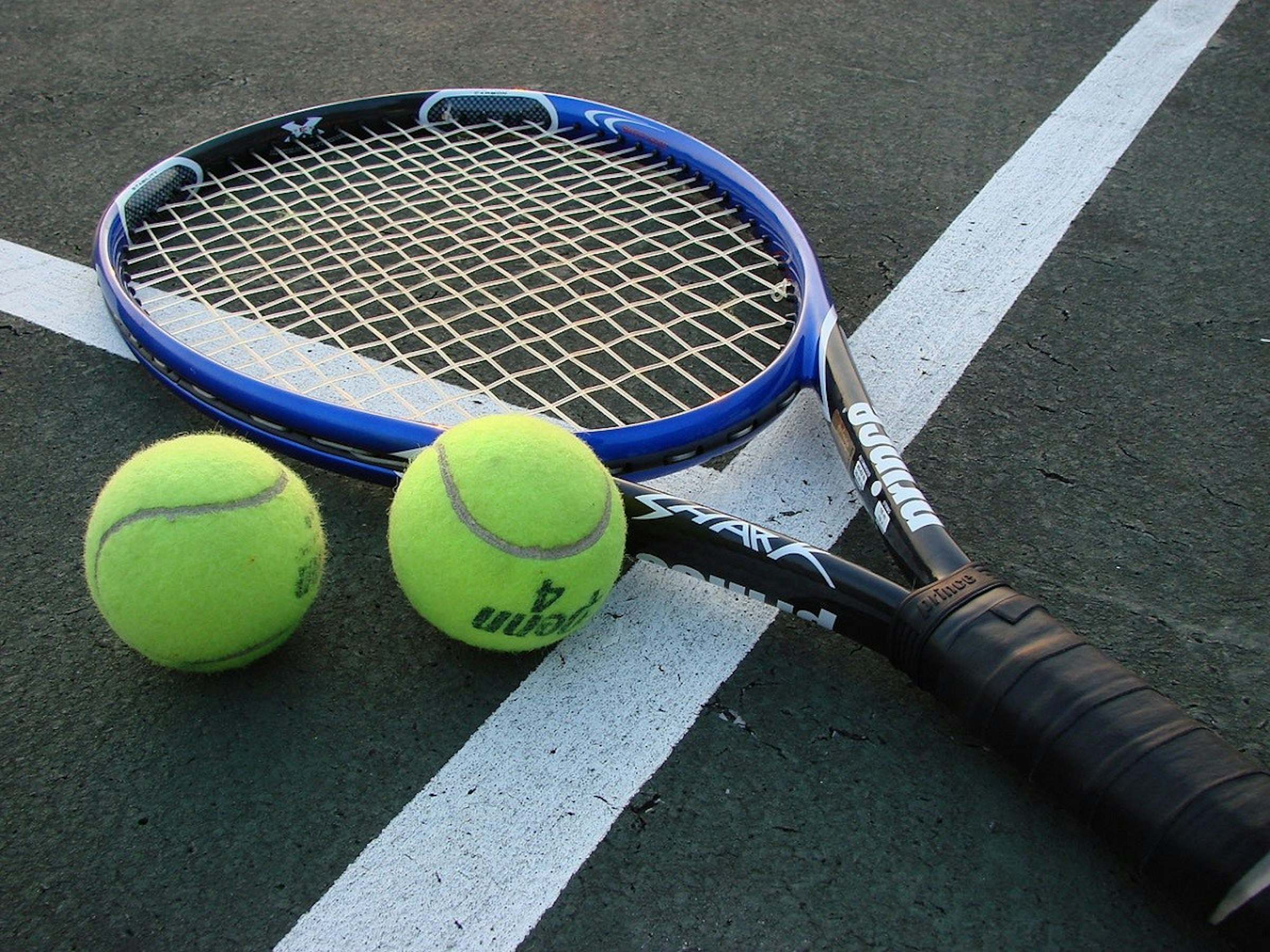 Tennis, Sports, , Tennis player, Video Games, Coach, Competition, Player, , Game, tennis game, Tennis, Tennis racket, Tennis Equipment, Strings, Racket, Tennis ball, Tennis racket accessory, Soft tennis, Racquet sport, Rackets