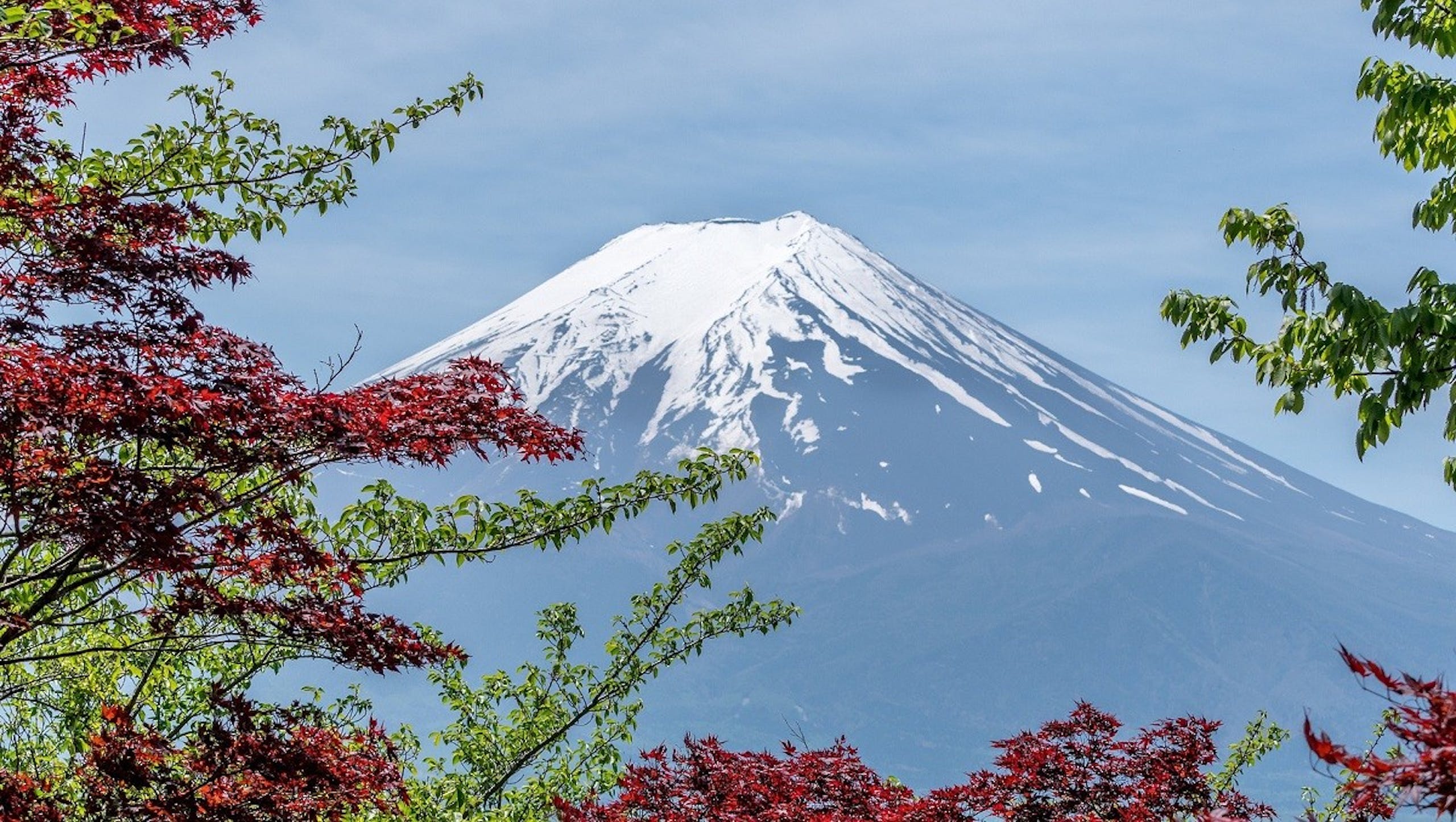 照片中提到了Width，包含了虛擬背景變焦gunung、富士山、旅行、圖片、性質