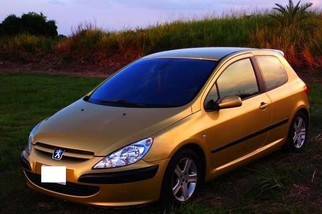 照片中包含了家用車、標致307、汽車、緊湊型車、中型車