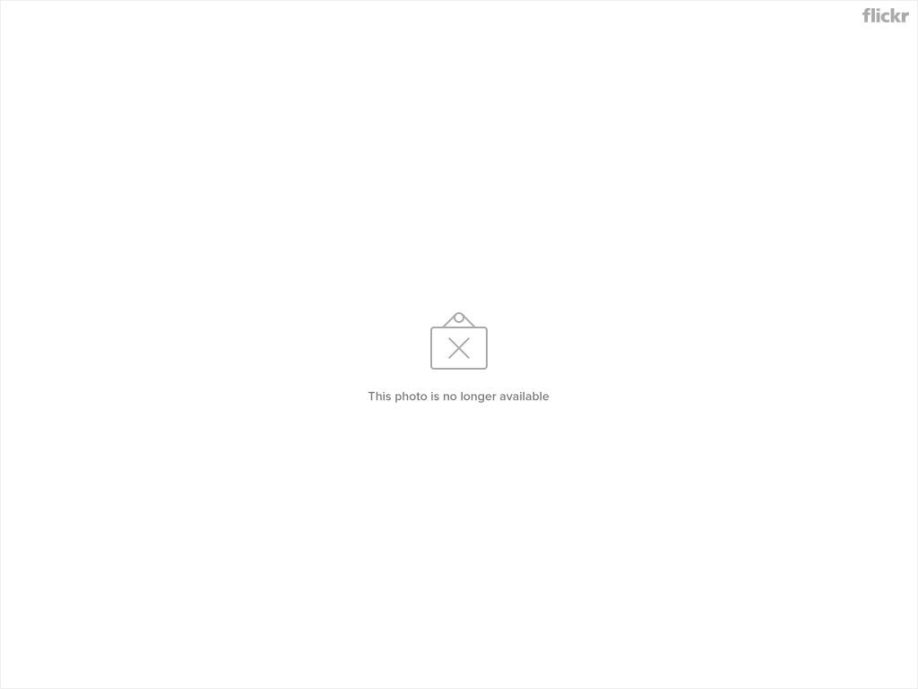 是Google大神也會出問題這篇文章的首圖