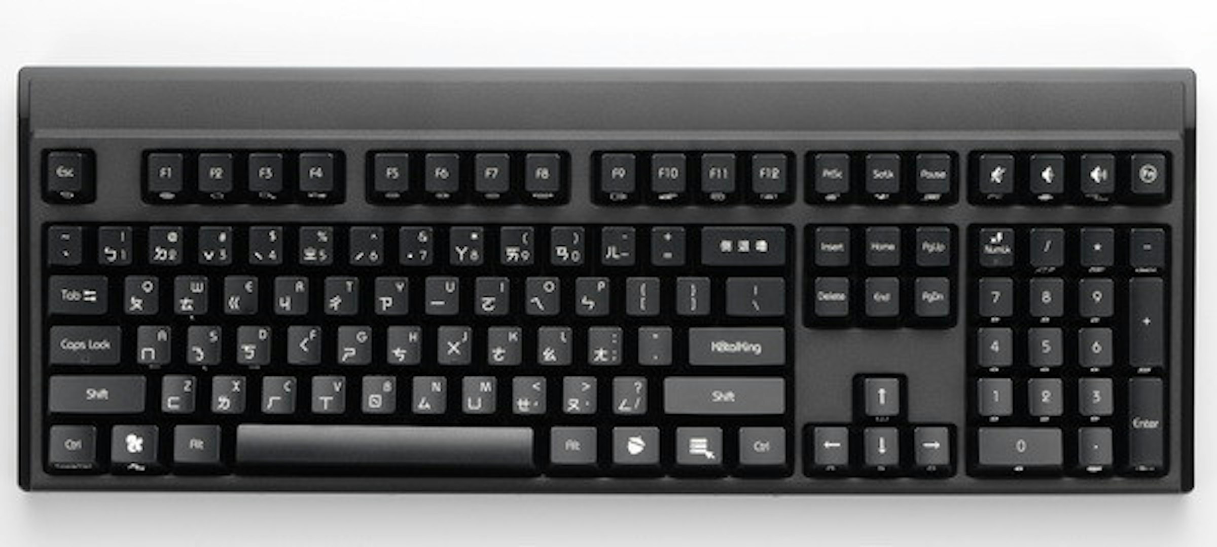 golden5120_0.jpg