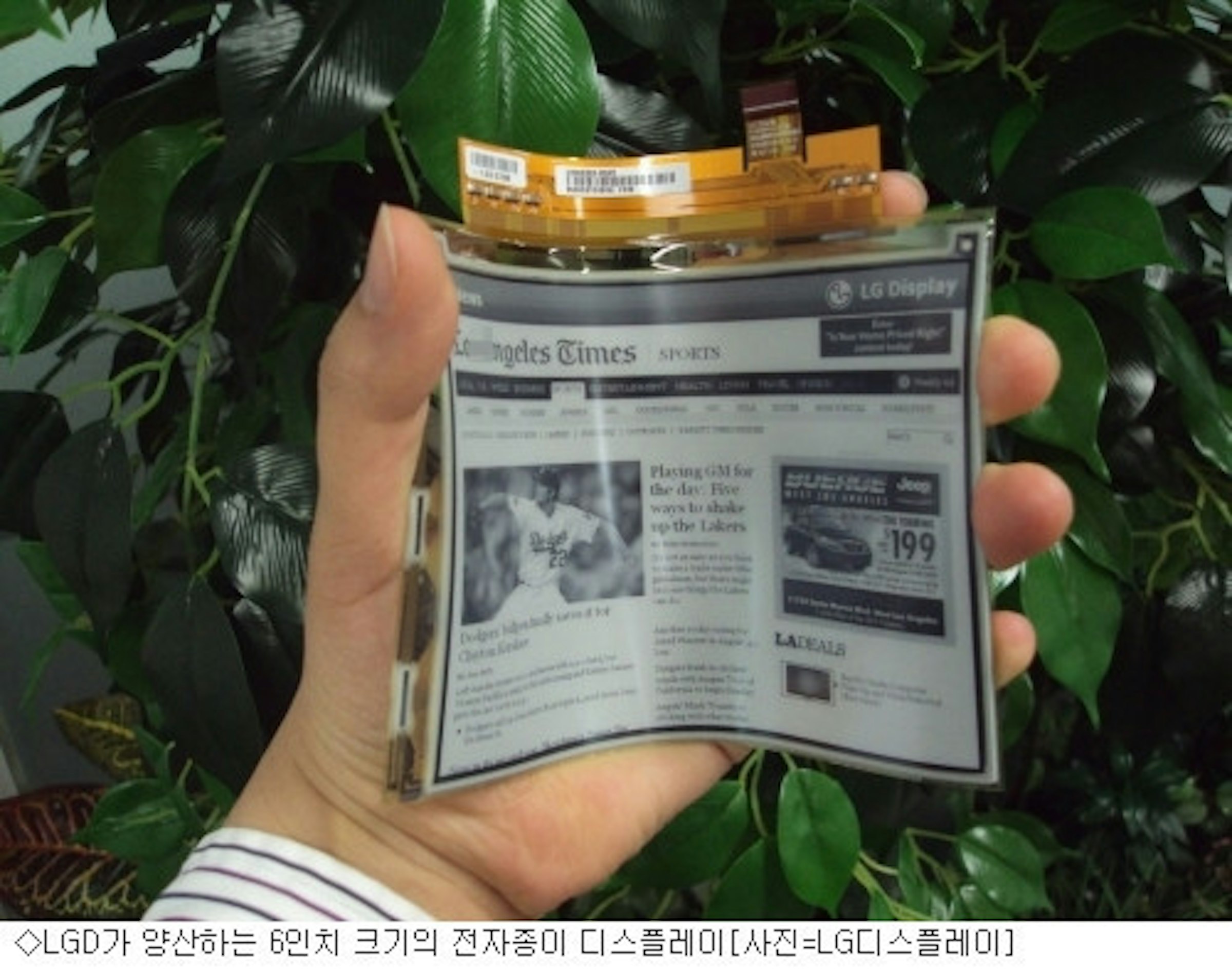 是LG 準備量產可撓式電子紙！這篇文章的首圖