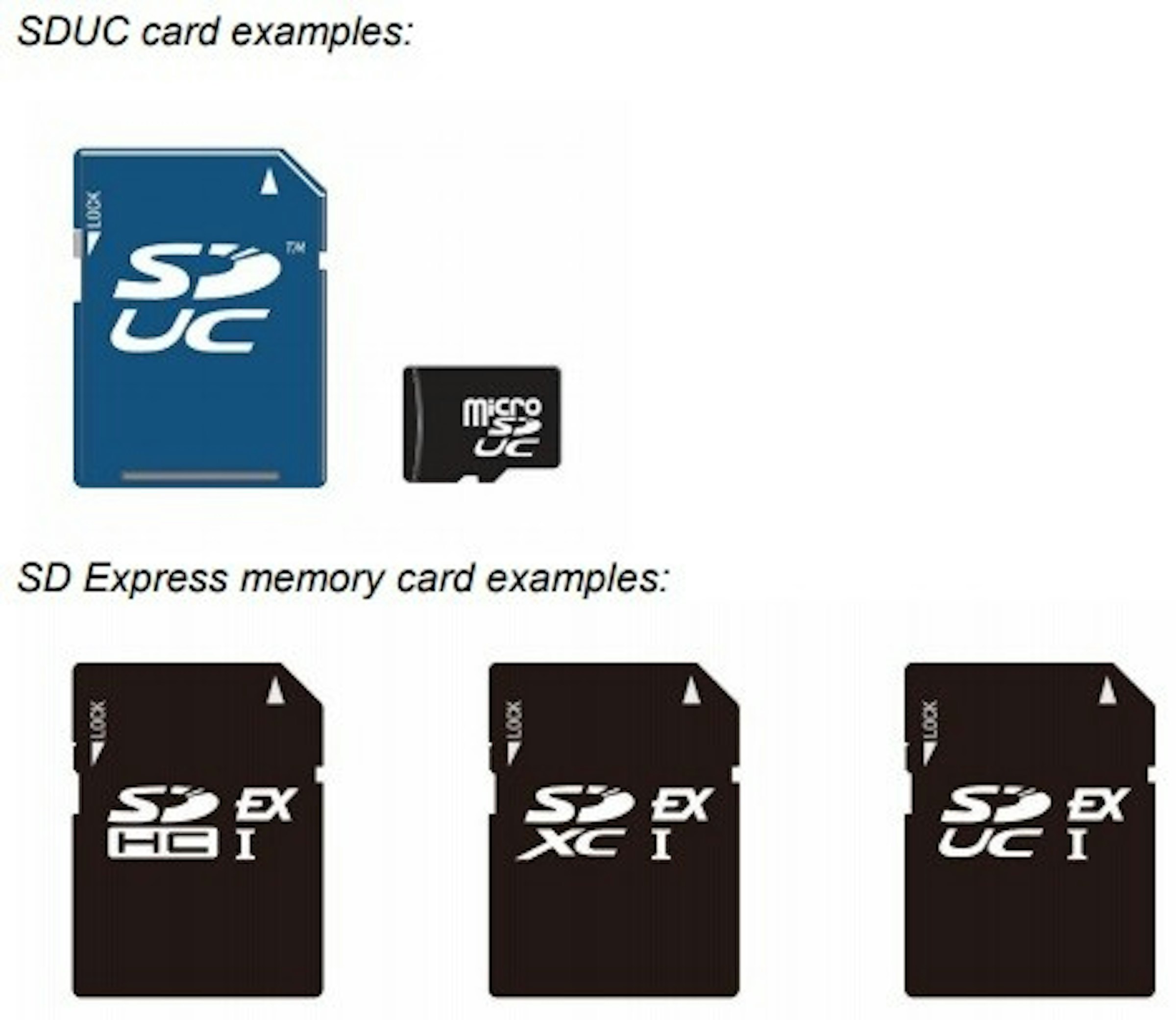 Flash memory, Product design, Logo, Secure Digital, Product, Flash Memory Cards, Font, Brand, Design, Computer data storage, SDUC card examples:UCmgroUCSD Express memory card examples:c !UC I, SDUC, card, examples:, UC, mgro, UC, SD, Express, memory, card, examples:, UC, technology, text, product, font, electronics accessory, logo, brand, product, flash memory, electronic device, SDUC card examples:UCmgroUCSD Express memory card examples:c !UC I, Qumox, SD Card, 閃存，產品設計，徽標，安全數碼，產品，閃存卡，字體，品牌，設計，計算機數據存儲，SDUC卡示例：UCmgroUCSD Express存儲卡示例：c！UC I，SDUC，卡，示例：，UC ，mgro，UC，SD，Express，內存卡，示例：，UC，技術，文本，產品，字體，電子配件，徽標，品牌，產品，閃存，電子設備，SDUC卡示例：UCmgroUCSD Express存儲卡示例：c！UC I，Qumox，SD卡