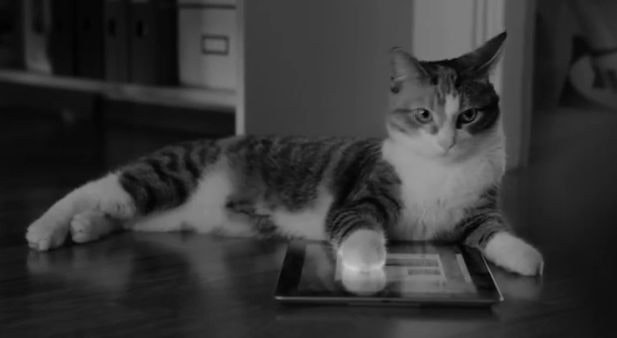 是貓咪也有上網的權利！ Opera 宣布推出貓咪專用瀏覽器 Cats by Opera這篇文章的首圖