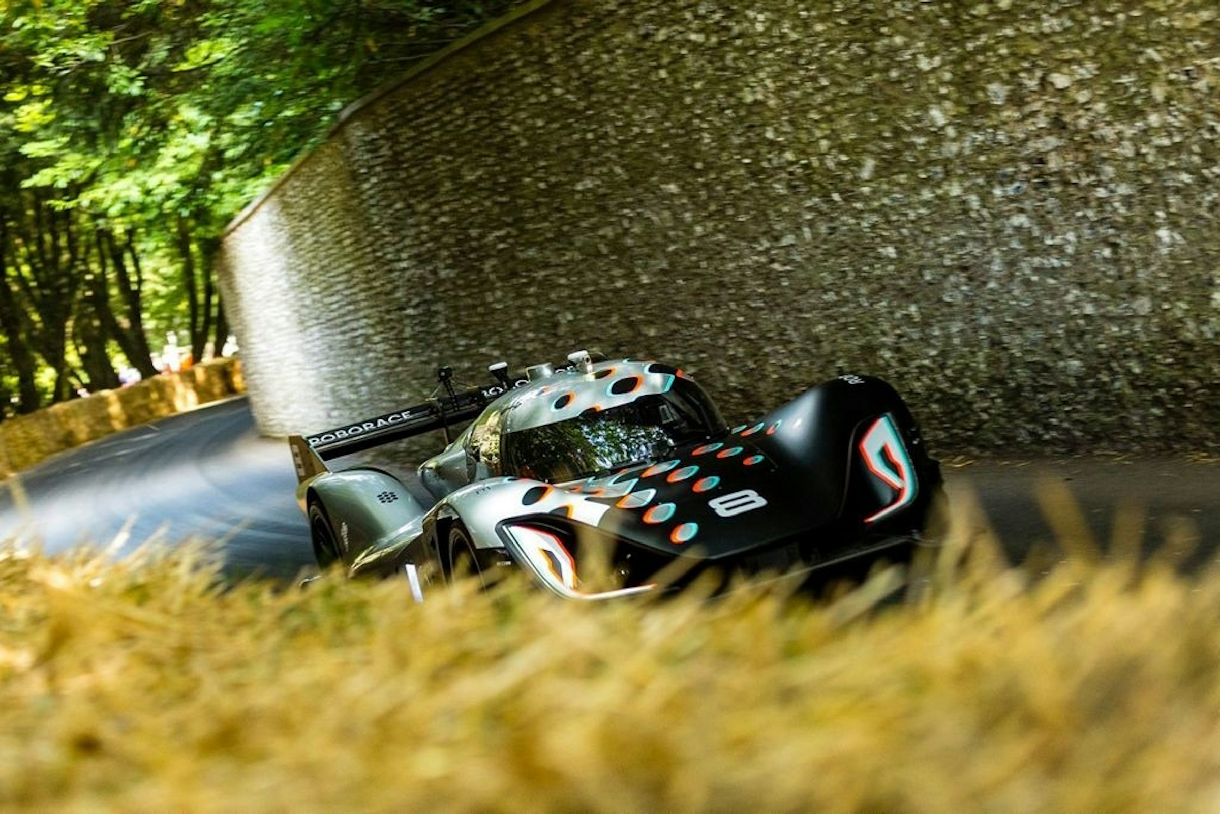 Roborace, Goodwood Festival of Speed, Car, Self-driving car, Driving, Video, Image, Photograph, Auto racing, Hashtag, grass, Footwear, Grass, Shoe, Asphalt, Vehicle, Automotive design, Plant, Personal protective equipment, Rolling, Car