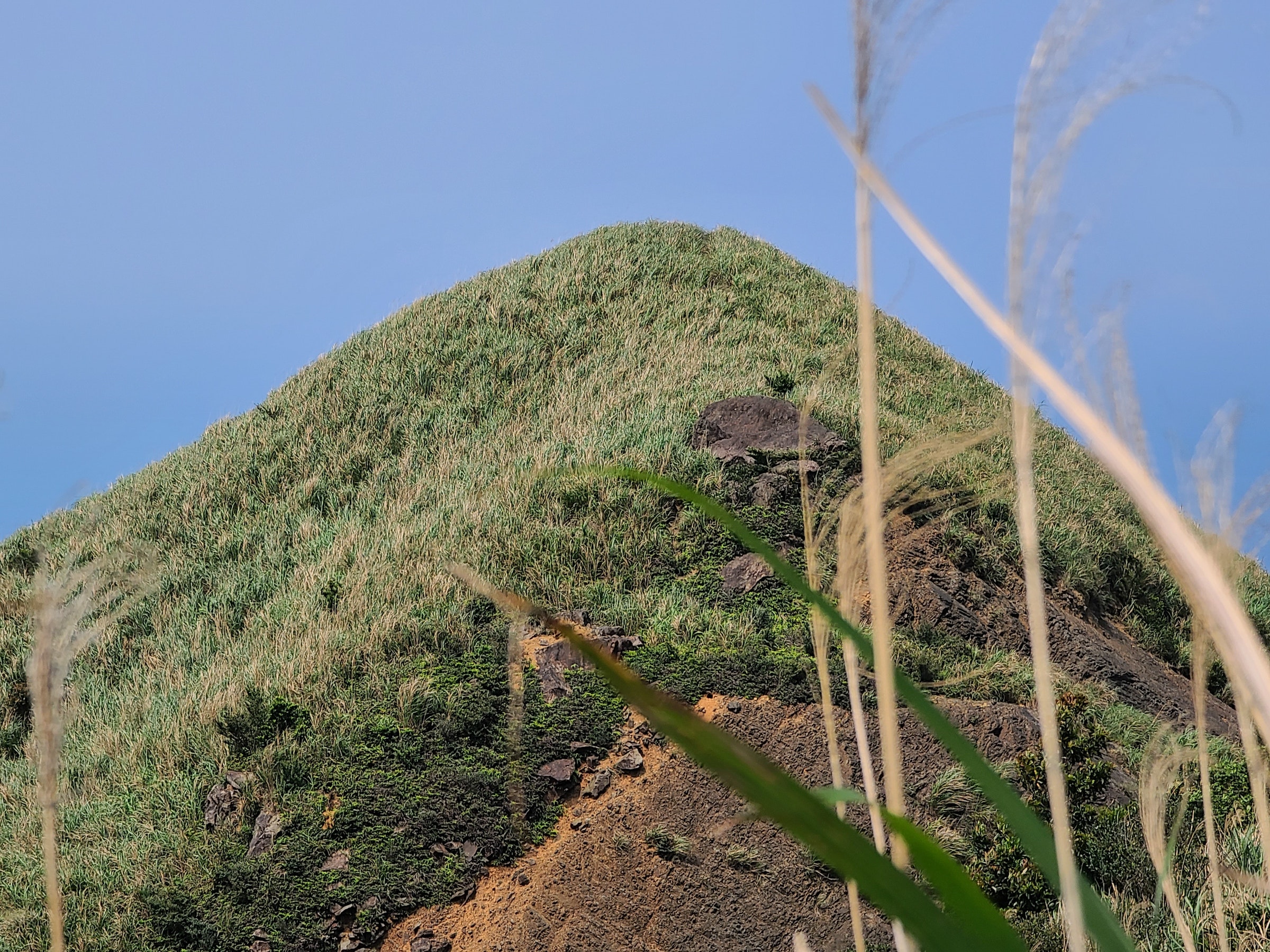 照片中包含了植被、灌木丛、植被、悬崖、草类