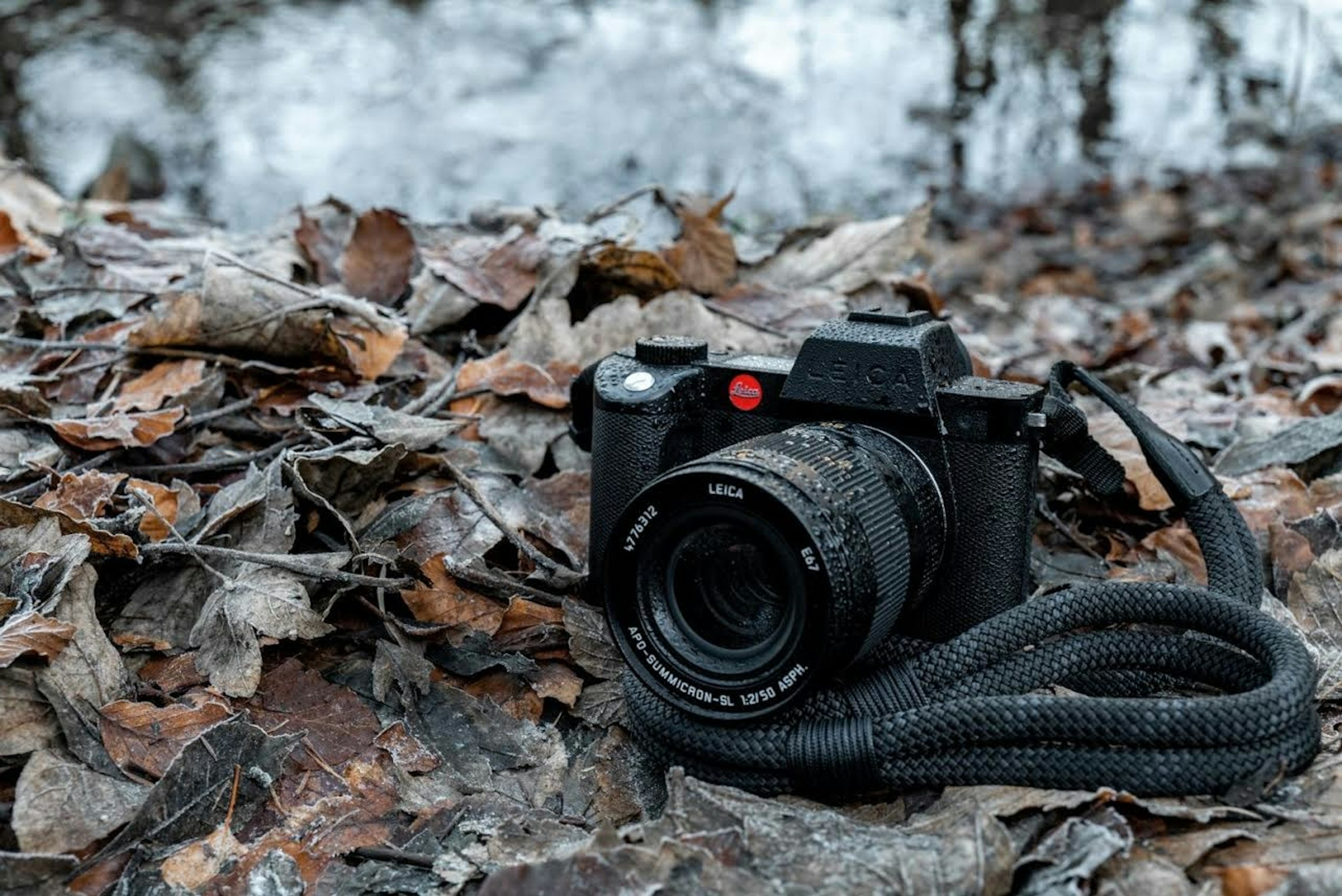 照片中提到了LEICA、APO-SUMMICRO、'5O ASPH.，包含了徠卡sl2、徠卡sl2、無反光鏡可換鏡頭相機、徠卡、徠卡相機