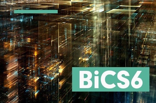 照片中提到了BICS6,跟Belgacom ICS有關,包含了西部數據、西部數據、電腦數據存儲、柯夏、快閃記憶體