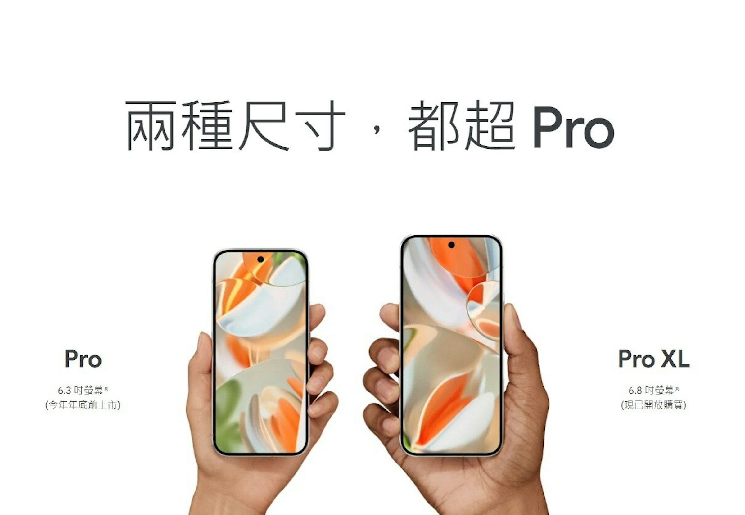 照片中提到了兩種尺寸,都超 Pro、Pro、6.3 吋螢幕 8，包含了涼鞋、Google Pixel 9 Pro、谷歌、圖片、像素點
