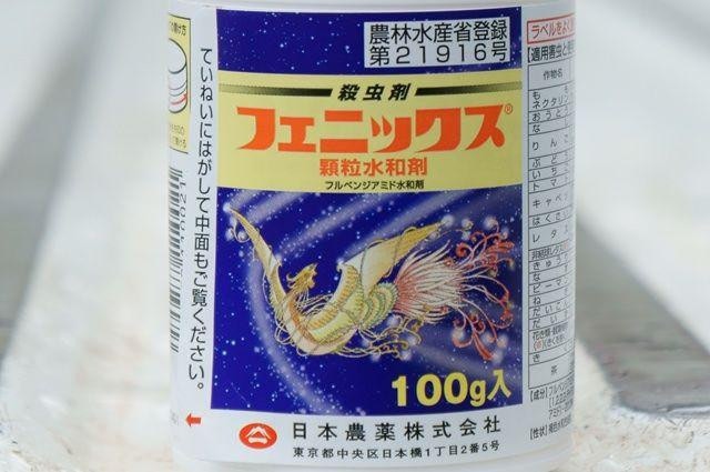 張相片