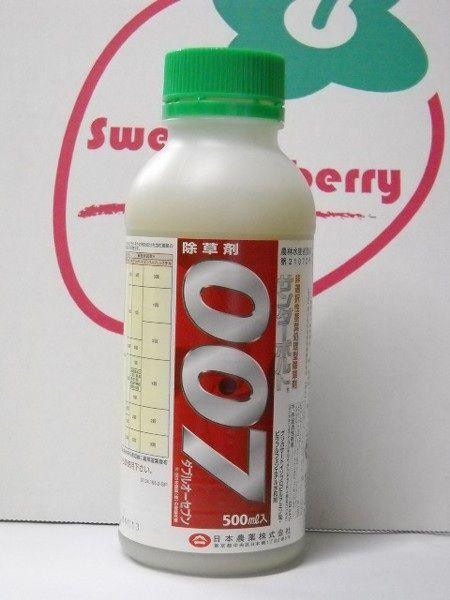 張相片