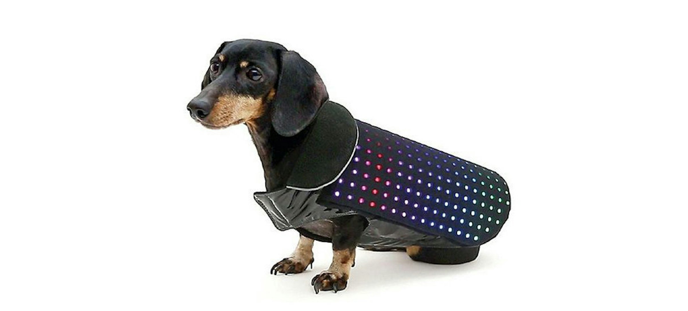 是狗衣服內置 LED 手機 App 操控隨時變色這篇文章的首圖