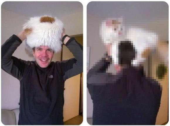 是冬天果然還是養貓好...，將貓戴上頭頂的男人這篇文章的首圖