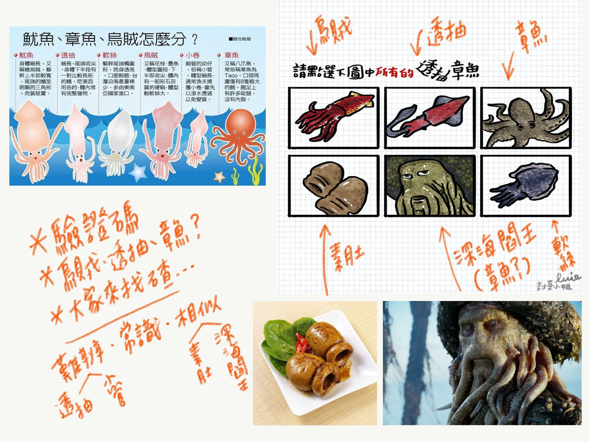 是【昨日新聞淺談插畫梗分享】:中國購票網站的驗證碼,除了驗證還能考常識⋯這篇文章的首圖