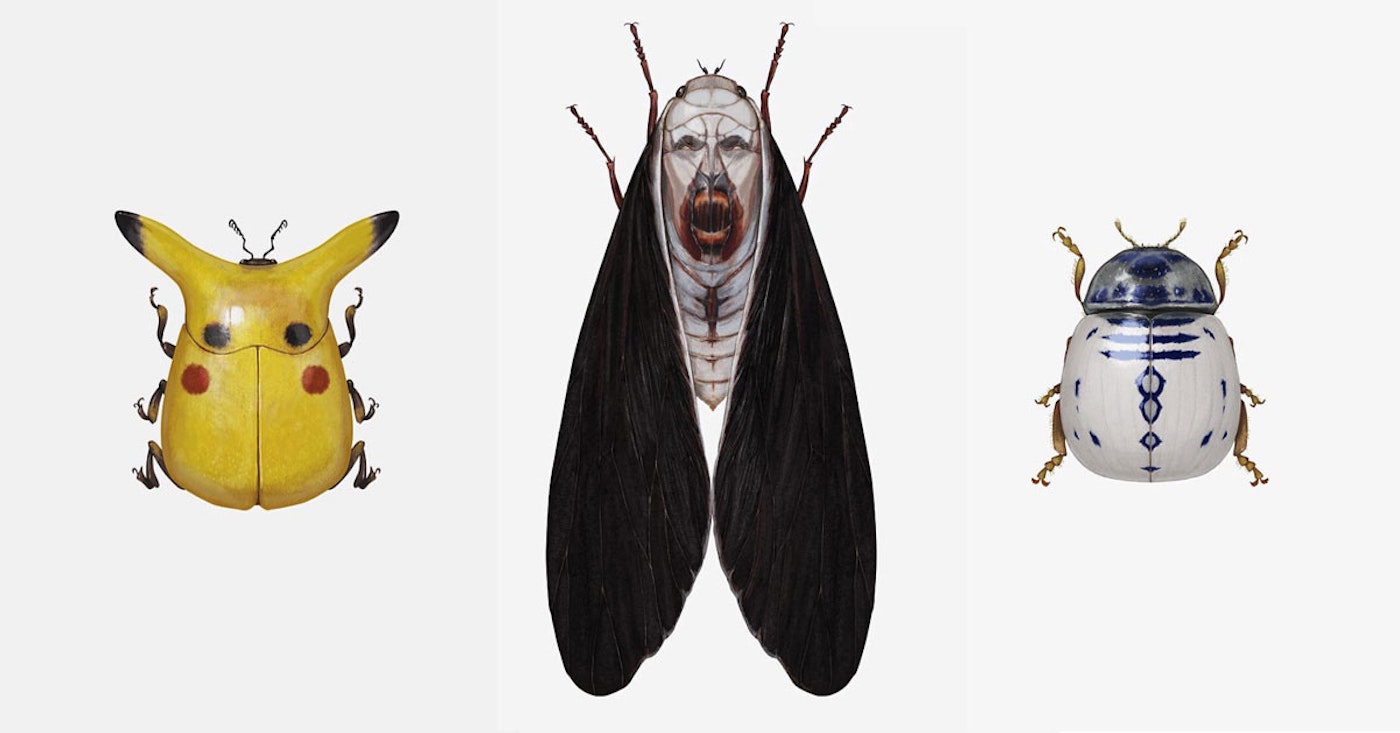 蟲蟲明星臉 插畫結合流行文化虛擬蟲蟲標本 插畫藝術 Cool3c