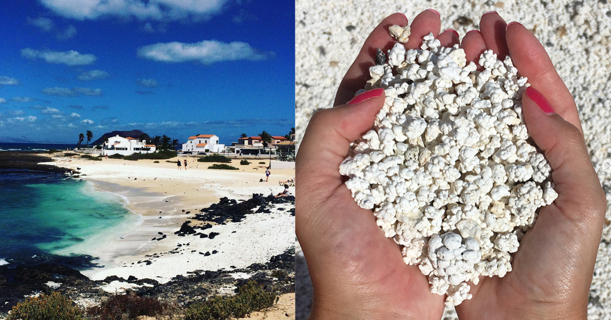 Popcorn Beach, Corralejo, Shore, Beach, Popcorn, Hotel, , Sand, Coast, Room, Beach, Hand, Vacation, Sand, Rock
