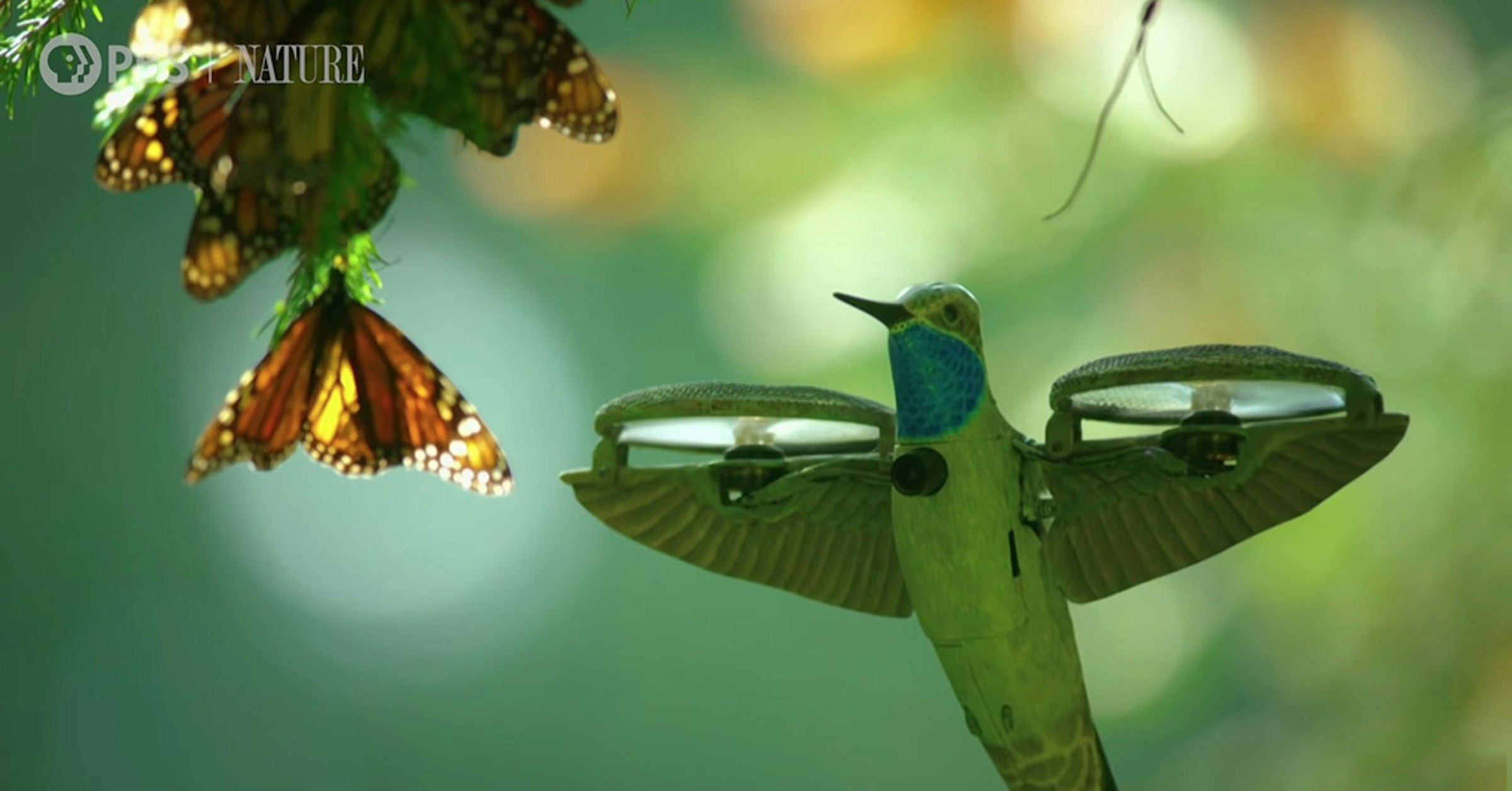 照片中提到了OPATURE，包含了無人駕駛飛機、無人駕駛的航空機、大疆創新、蜂鳥、DJI Mavic Mini