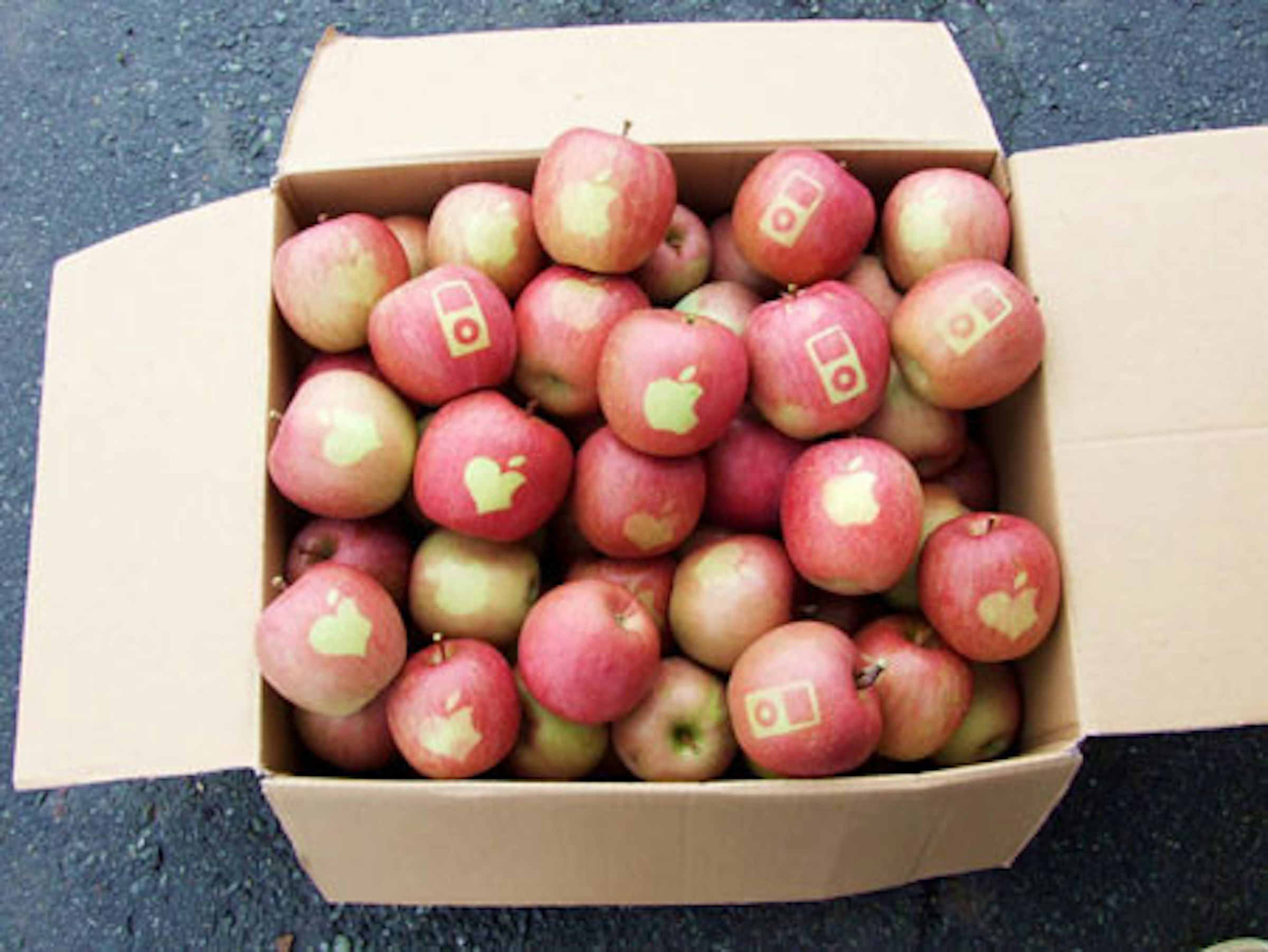 是蘋果與apple這篇文章的首圖
