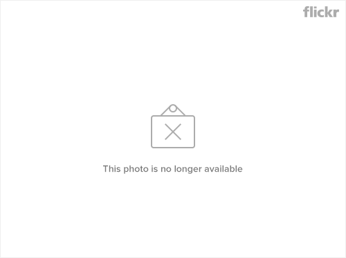 458ff1c6cc317848fe986ade51b84424